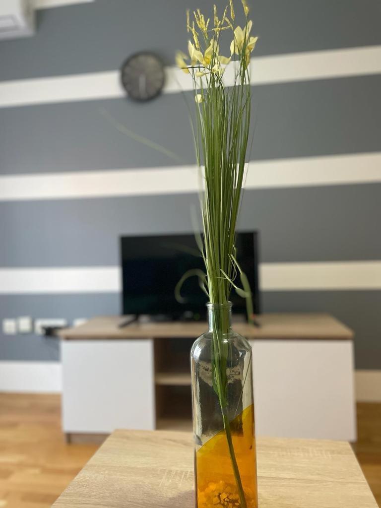 Naki Apartmani Podgorica Rom bilde